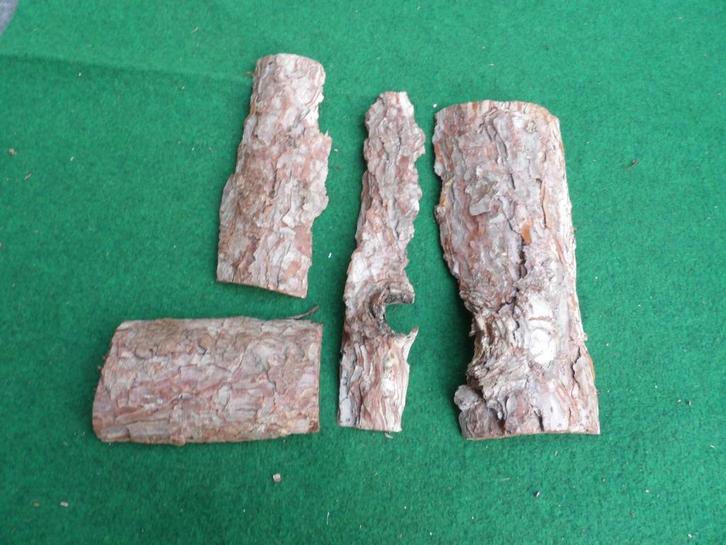 NIEUW 4 mooie grote droge stukken HOUTSCHORS ( 3 ), Hobby en Vrije tijd, Knutselen, Nieuw, Materiaal, Ophalen of Verzenden