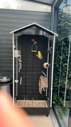 Dwergpapegaai lovebird 2x met grote kooi, Dieren en Toebehoren, Vogels | Parkieten en Papegaaien, Dwergpapegaai of Agapornis