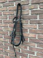(Stang en) trenshoofdstel, Dieren en Toebehoren, Paarden en Pony's | Hoofdstellen en Tuigage, Ophalen of Verzenden, Gebruikt, Dressuur