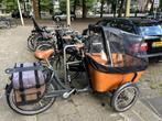 Babboe Carve-E with raincover, saddlebags, seat cushion, etc, 3 kinderen, Elektrisch, Zo goed als nieuw, Ophalen