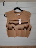 Spencer Primark Nieuw!, Ophalen of Verzenden, Zo goed als nieuw, Maat 38/40 (M)