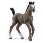 Schleich 13957 selle francais veulen, dierfiguur, Ophalen of Verzenden, Gebruikt, Paard, Beeldje of Figuurtje
