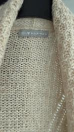 Repeat vest 42, Kleding | Dames, Ophalen of Verzenden, Zo goed als nieuw, Maat 42/44 (L), Overige kleuren