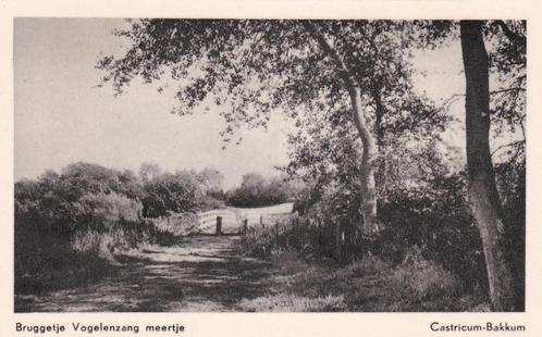 16258 Bruggetje Vogelenzang meertje Castricum Bakkum, Verzamelen, Ansichtkaarten | Nederland, Ongelopen, Noord-Holland, 1940 tot 1960