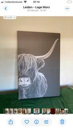 Canvas schotse hooglander, Huis en Inrichting, Woonaccessoires | Schilderijen, Tekeningen en Foto's, Ophalen, 125 cm of meer, Zo goed als nieuw