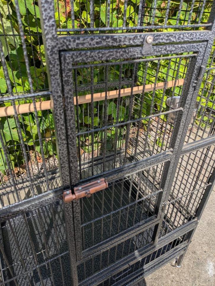 PAPEGAAIENKOOI NIEUW, Dieren en Toebehoren, Vogels | Hokken en Kooien, Nieuw, Vogelkooi, Metaal, Ophalen of Verzenden