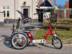 Te koop van raam easygo, Ophalen of Verzenden, Zo goed als nieuw, 50 km per accu of meer, Overige merken