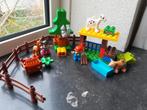 Duplo 10582 Bosdieren - Complete Set, Kinderen en Baby's, Speelgoed | Duplo en Lego, Ophalen of Verzenden, Zo goed als nieuw, Complete set