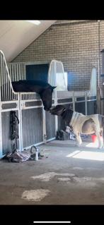 Stalling met weidegang gezocht, Dieren en Toebehoren, Stalling