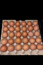 Verse eieren te koop, Diversen, Levensmiddelen, Ophalen