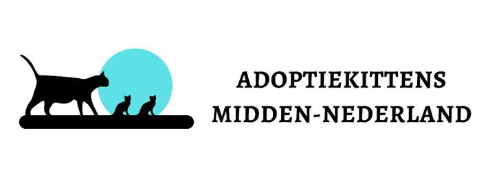 Kittenopvang : Zorg voor moederpoezen en kittens!!, Dieren en Toebehoren, Katten en Kittens | Overige Katten, Meerdere dieren
