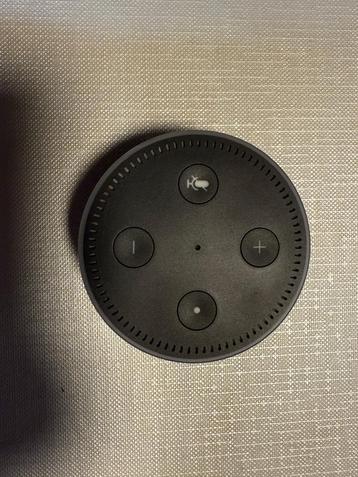 Amazon echo beschikbaar voor biedingen