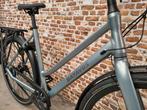 Batavus Dinsdag /Shimano Alfine 11/Nieuw /53cm/€800 Korting!, 28 inch, 10 tot 15 versnellingen, Batavus, Nieuw