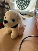 Dierendokter speelset met Hondje, Ophalen, Zo goed als nieuw, Jongen of Meisje