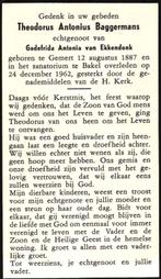 Baggermans Theodorus Antonius 1887 Gemert-1962 Bakel, Ophalen of Verzenden