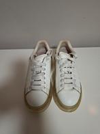 Alexander mcqueen 37, Kleding | Dames, Schoenen, Wit, Ophalen of Verzenden, Sneakers of Gympen, Gedragen