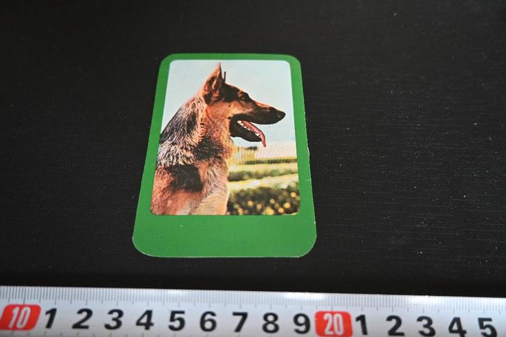 sticker Herders hond, Verzamelen, Stickers, Zo goed als nieuw, Ophalen