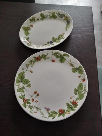 2 Serveerschalen Marjolein Bastin (Wedgwood) beschikbaar voor biedingen