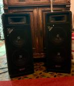 Sky Tex 2-weg PA luidsprekers 500 watt klassiek uitgevoerd, Audio, Tv en Foto, Luidsprekers, Zo goed als nieuw, 120 watt of meer