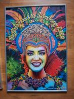 Ophangsysteem incl. alle posters carnaval., Verzamelen, Posters, Ophalen, Rechthoekig Staand, Deurposter of groter, Zo goed als nieuw