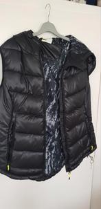 Bodywarmer zwart mt 40 Nieuw, Kleding | Dames, Bodywarmers, Maat 38/40 (M), H&M, Zwart, Ophalen of Verzenden