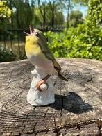 GOEBEL ❤️ vogel boszanger 38028, Ophalen of Verzenden, Zo goed als nieuw, Dier