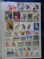 vogels - 1 album kantje (zp-31), Postzegels en Munten, Postzegels | Volle albums en Verzamelingen, Ophalen of Verzenden, Buitenland