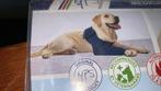 Voorpoot hoes voor hond! Bij wond en huidaandoening, Ophalen of Verzenden, Zo goed als nieuw