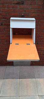 Valplanken postduiven, Meerdere dieren, Postduif