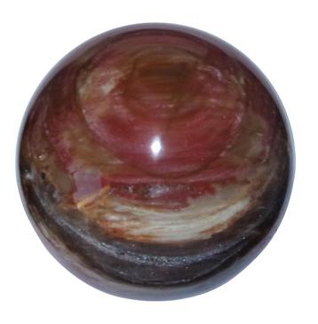 Bol versteend hout  diameter 98mm 1,3 kilo beschikbaar voor biedingen