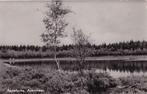 Appelscha, Apenmeer, Verzamelen, Ophalen of Verzenden, Gelopen, Friesland