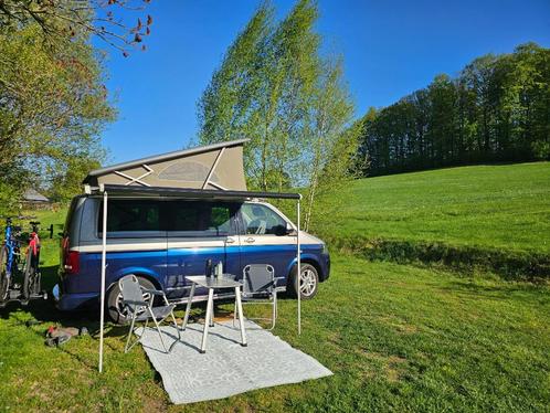 VW CALIFORNIA DSG Automaat INRUIL mogelijk, Caravans en Kamperen, Campers, Particulier, Bus-model, tot en met 4, Volkswagen, 4 tot 5 meter