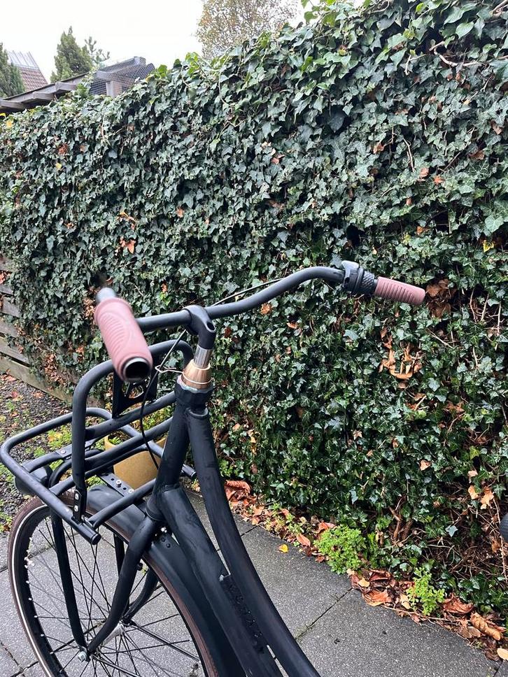 Avalon Cargo Transportfiets 57cm - Mat Zwart, Fietsen en Brommers, Fietsen | Dames | Damesfietsen, Gebruikt, Overige merken, Versnellingen