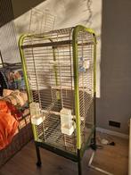 Papegaaien parkieten kooi