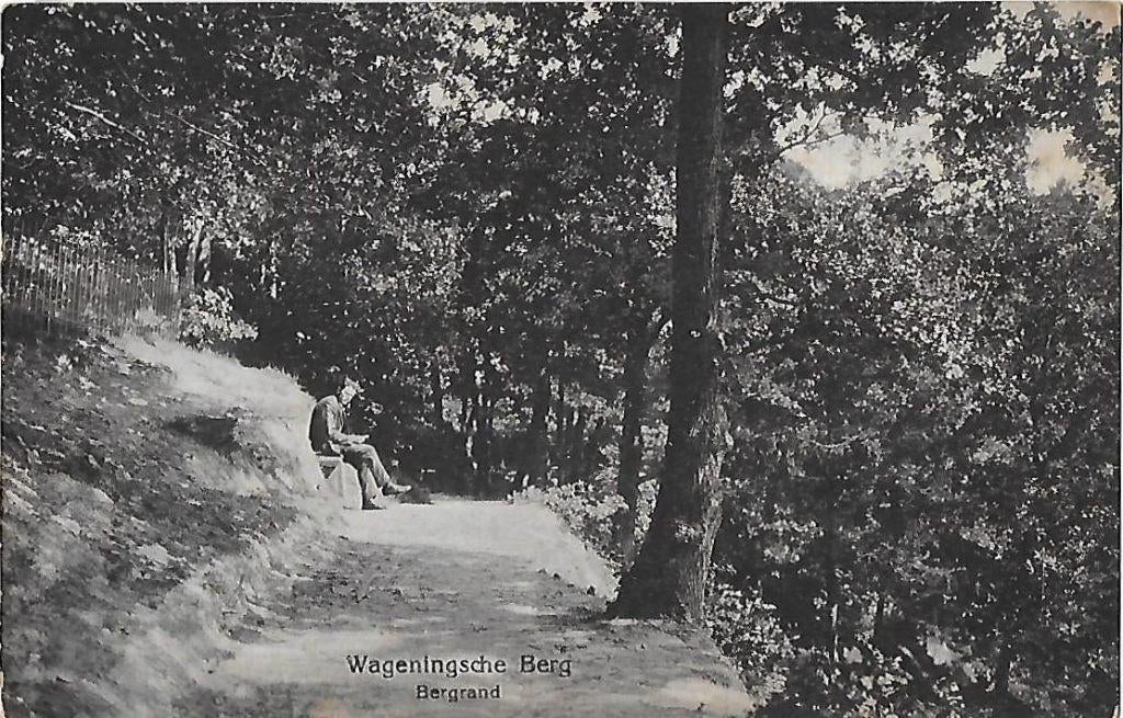 Wageningsche Berg - Bergrand - Oude ansichtkaart 8581, Ophalen of Verzenden, 1940 tot 1960, Ongelopen, Gelderland
