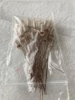 Neonlampjes - Elektronica Componenten, Ophalen of Verzenden, Gebruikt