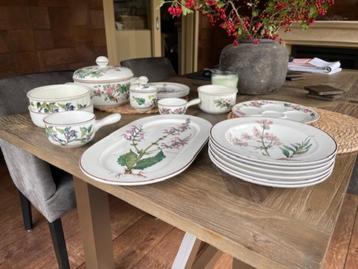 servies Botanica beschikbaar voor biedingen