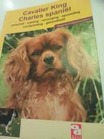 Cavalier King Charles Spaniel, Ophalen of Verzenden, Zo goed als nieuw, Honden