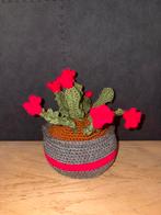 Gehaakte plant (lidcactus), Ophalen of Verzenden, Nieuw, Binnen