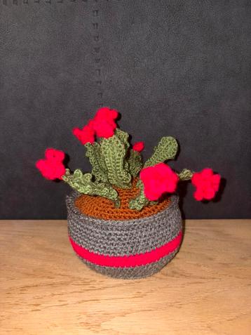 Gehaakte plant (lidcactus) beschikbaar voor biedingen