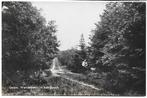 Laren Wandellaan Oude Gelopen Ansichtkaart ( B847 ), Verzamelen, Ansichtkaarten | Nederland, Ophalen of Verzenden, 1920 tot 1940