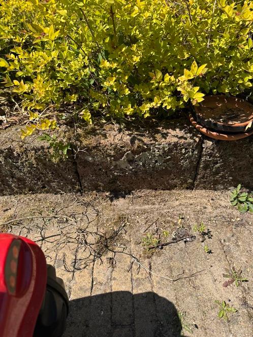 Gratis stapelblokken, Tuin en Terras, Bielzen en Borders, Gebruikt, Beton, Minder dan 25 cm, Minder dan 100 cm, Ophalen