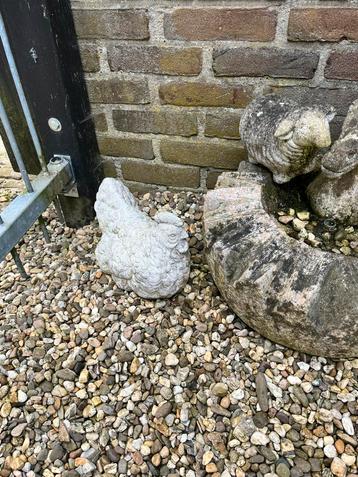 Betonnen kip beschikbaar voor biedingen