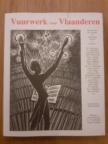 Vuurwerk voor Vlaanderen beschikbaar voor biedingen