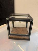 Terrarium klein 15 x15 x15 cm, Dieren en Toebehoren, Reptielen en Amfibieën | Toebehoren, Ophalen, Gebruikt, Terrarium of Paludarium