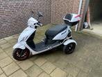 Pride scooter elektrisch nieuwstaat, Ophalen, Elektrisch, Zo goed als nieuw, Nipponia Pride