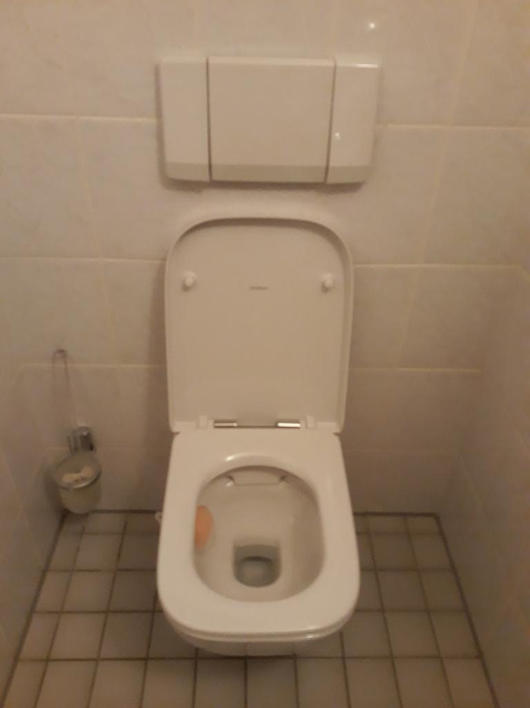 Geberit Renova wandcloset met softclose deksel, Doe-het-zelf en Verbouw, Sanitair, Zo goed als nieuw, Toilet, Ophalen