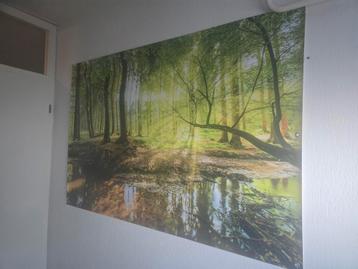 Buitenposter - Boslandschap 120 -180 beschikbaar voor biedingen