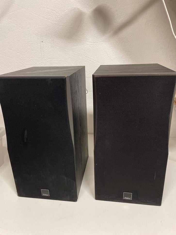 Dali Concept 2 Speakers - Set, Audio, Tv en Foto, Luidsprekers, Gebruikt, Front, Rear of Stereo speakers, 60 tot 120 watt, Overige merken