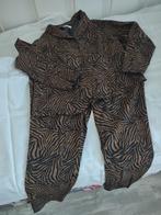 Broek + jasje bruin/zwart. Maat xxl, Kleding | Dames, Jasjes, Kostuums en Pakken, Ophalen, Gedragen, Maat 46/48 (XL) of groter